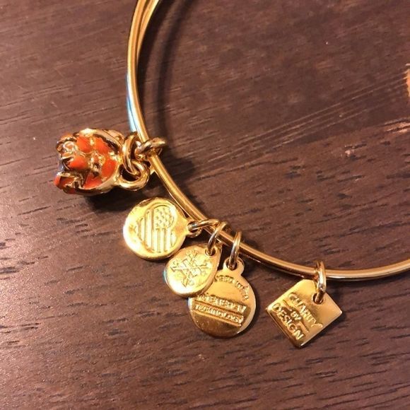 NWOT Alex and Ani Charity by Design Hermit Crab - Picture 3 of 7